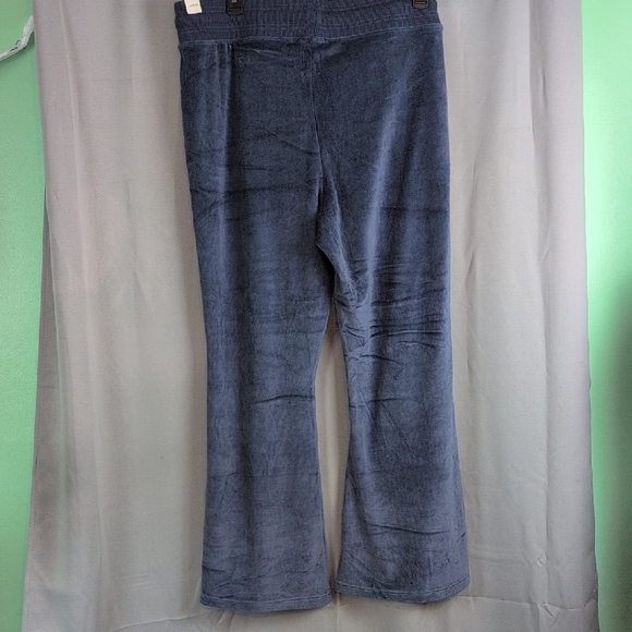 Aerie Blue Velour Pants - Picture 2 of 5